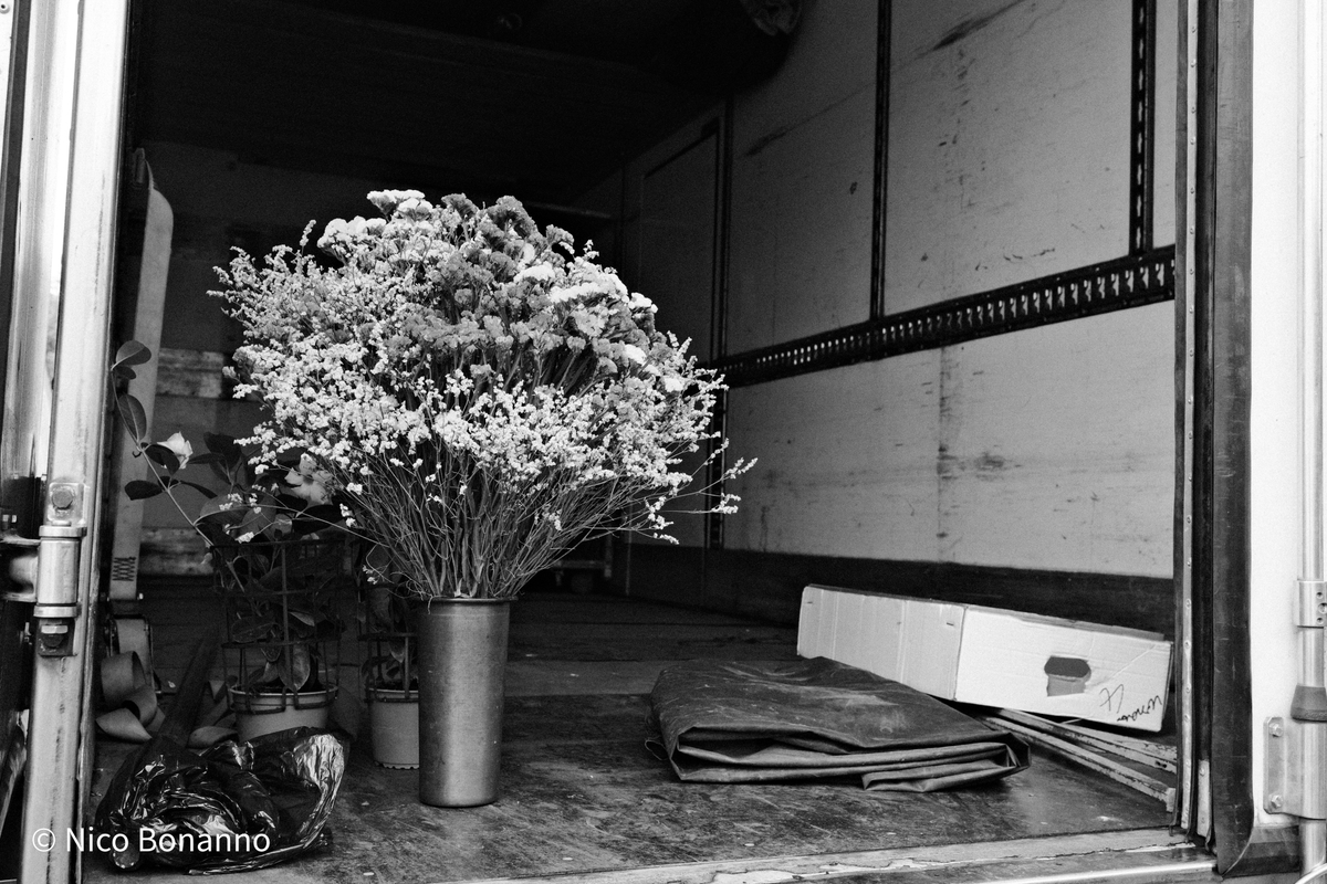 Foto bianco e nero 5