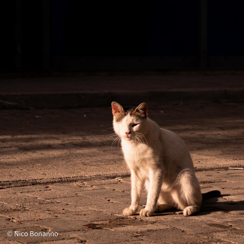 Foto a colori 15